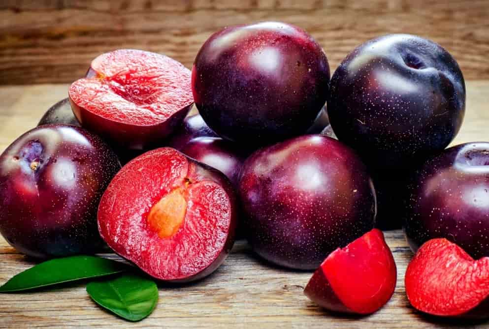 قیمت آلو سانتریزه