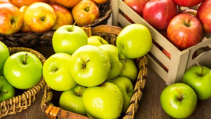 محصولات کشاورزی خراسان رضوی (باغی) + صنایع دستی مشهد