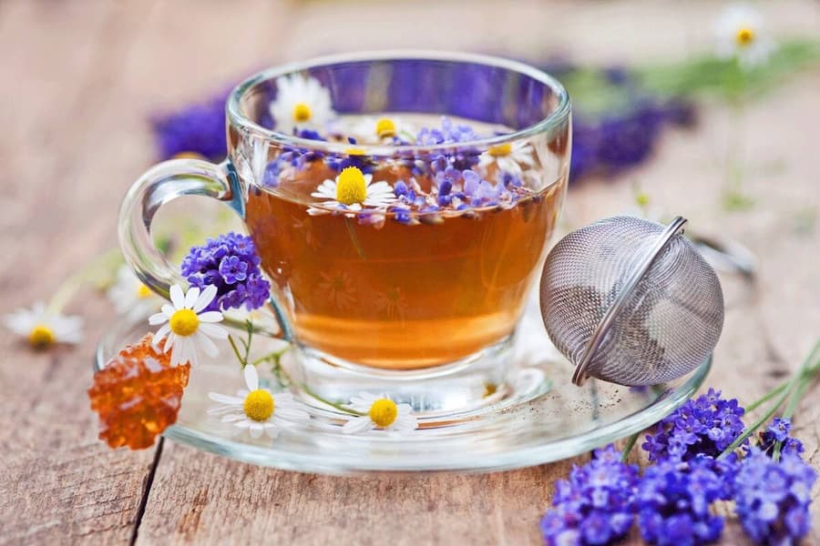 قیمت گل گاوزبان عمده