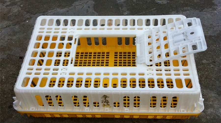 قیمت سبد حمل مرغ زنده