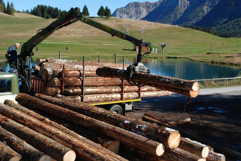 قیمت چوب خام در بازار