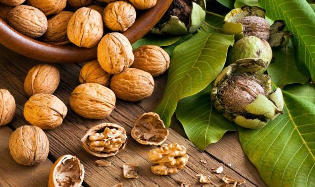 قیمت گردو فاروج