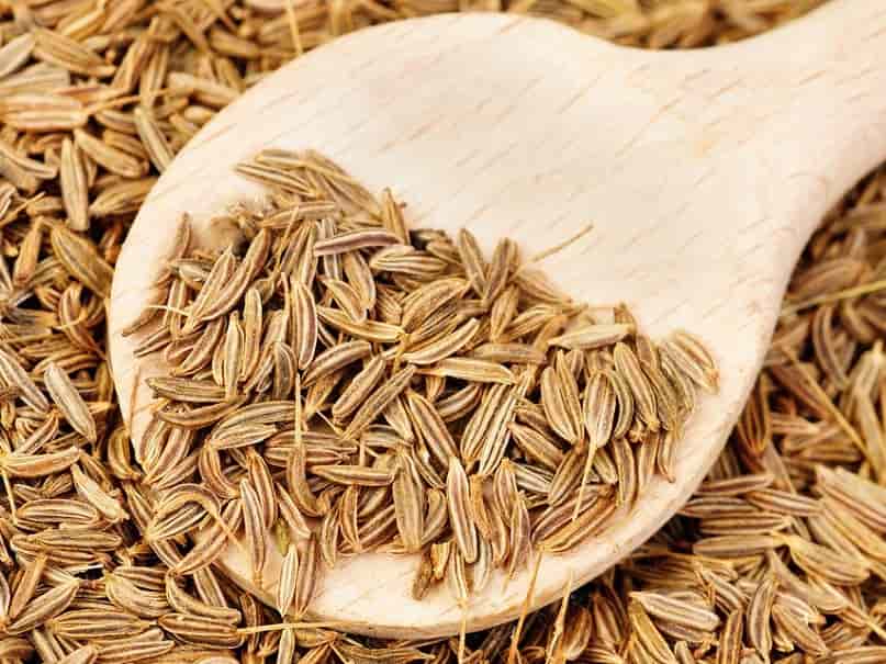 قیمت زیره وحشی