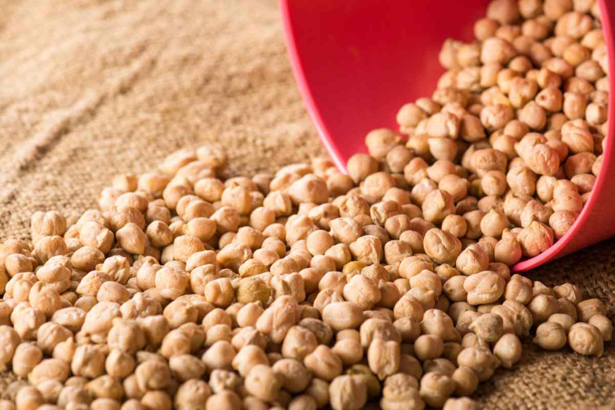 قیمت نخود حبوبات