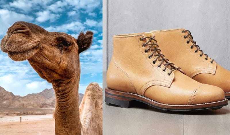 قیمت چرم شتر اصل