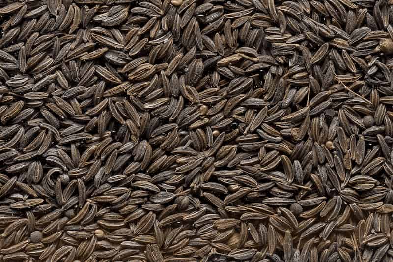 قیمت زیره سبز در سال ۱۴۰۱