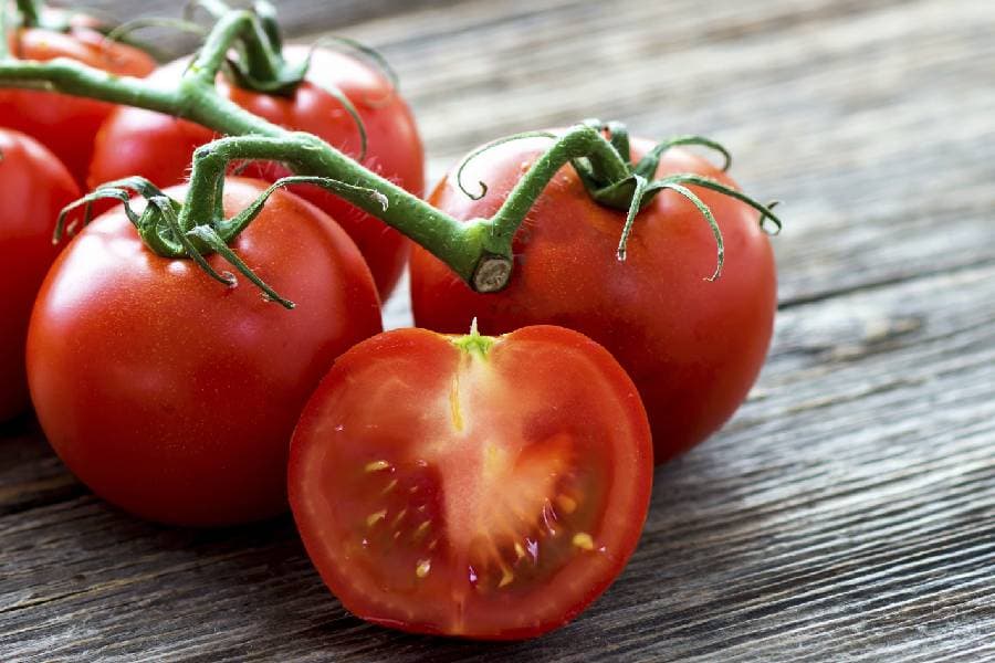 قیمت گوجه فرنگی ریز