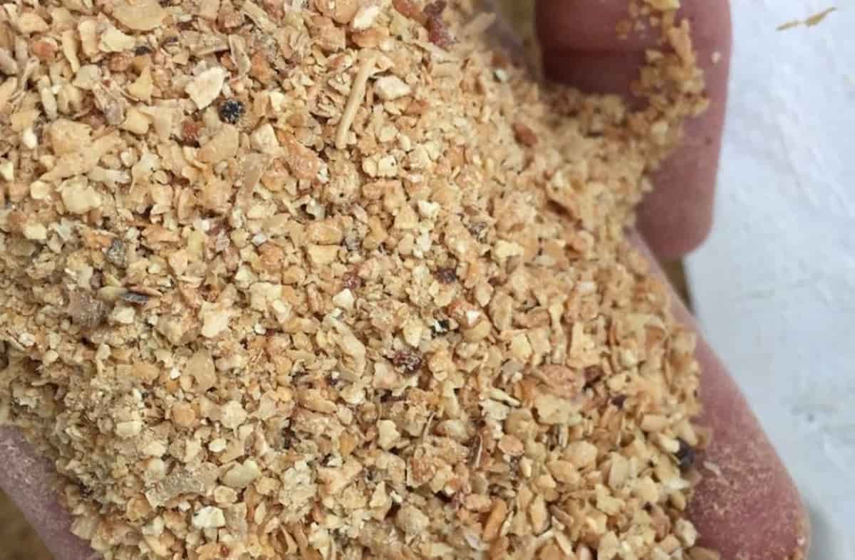 قیمت سویا دامی در بازار ازاد