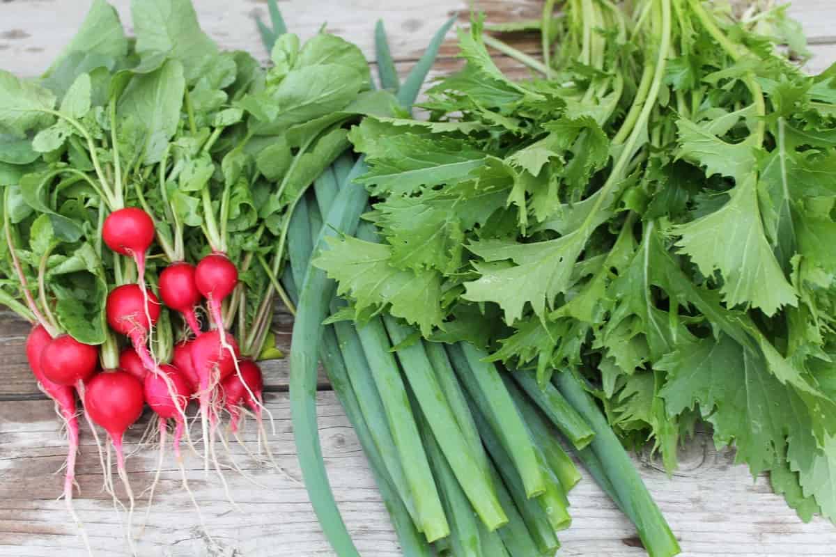 قیمت سبزی تازه