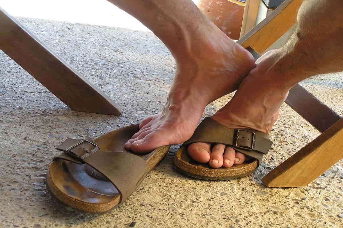 قیمت دمپایی خام