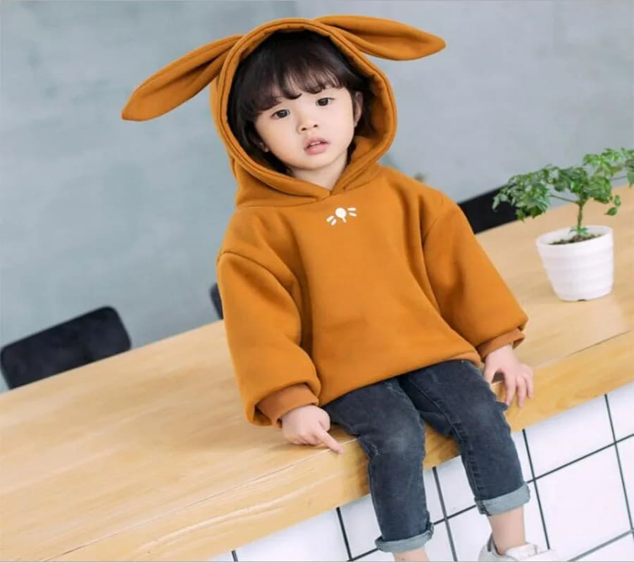 قیمت سویشرت تدی خرگوشی