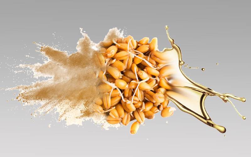 قیمت روغن جوانه گندم اصل