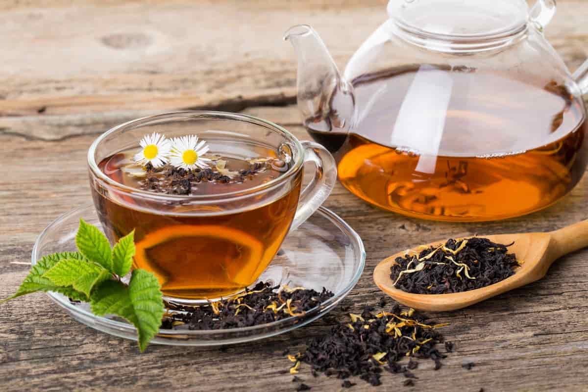 قیمت چای درجه یک شمال