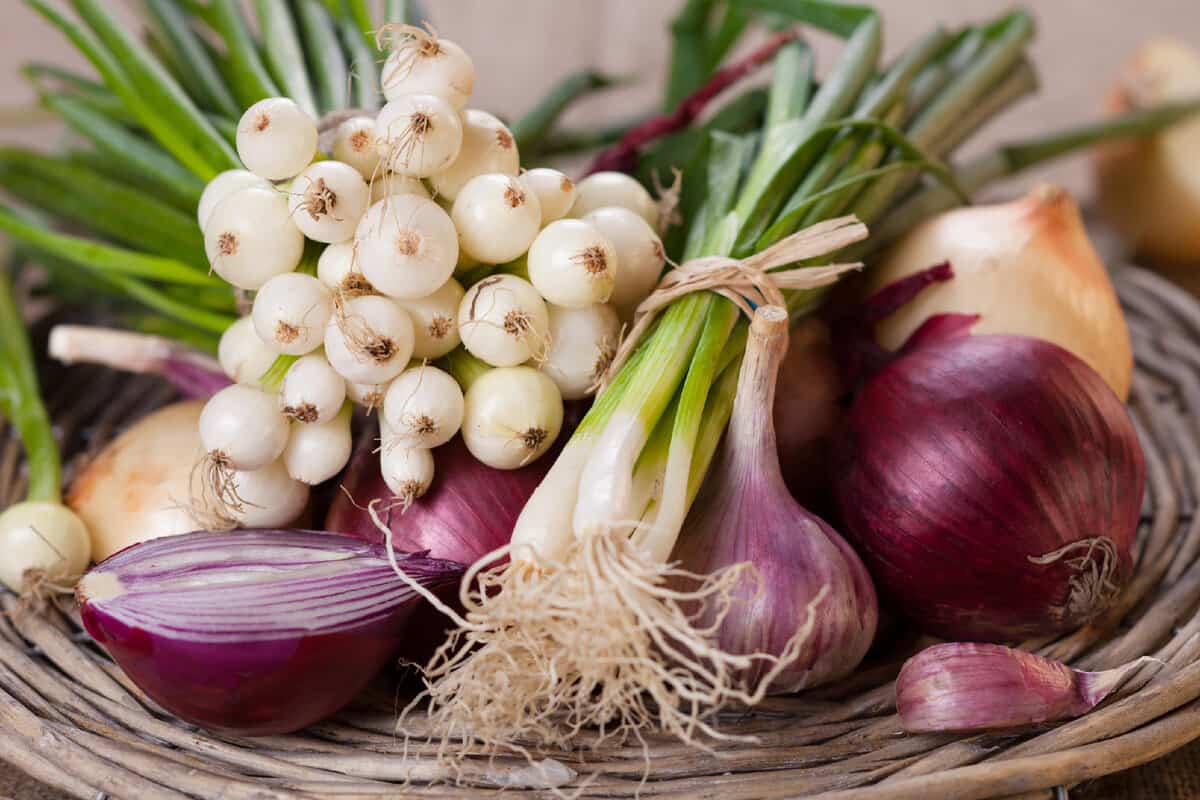 پیاز امروز تهران onion قرمز زرد سفید تند طلایی