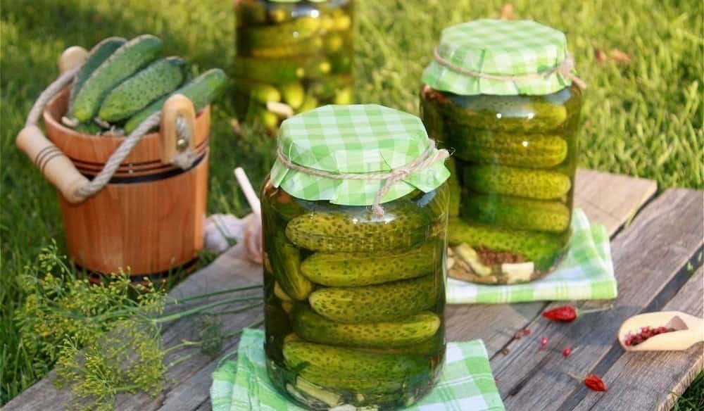 قیمت خیارشور 1401