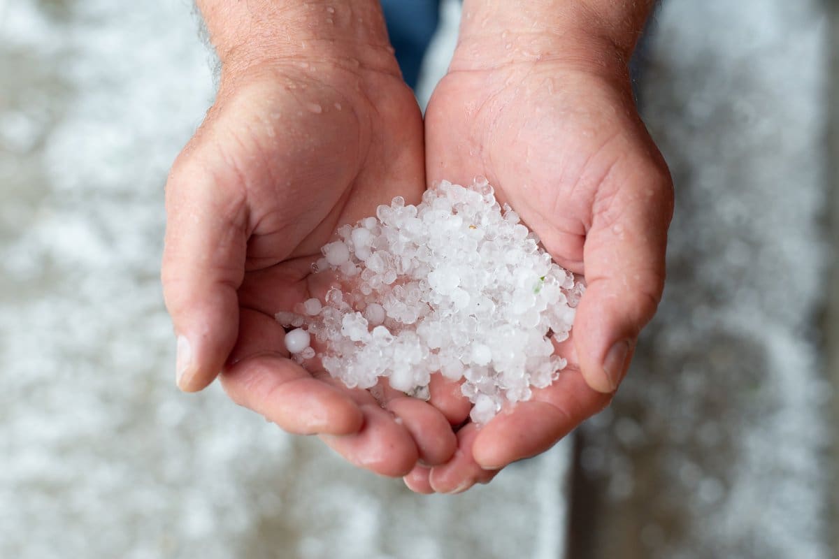 سود پرک در بورس؛ سفید جامد مناسب خنثی سازی اسید