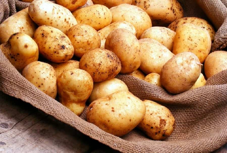 سیب زمینی همدان امروز؛ ترد تازه سالم + قدمت 7 هزار سال