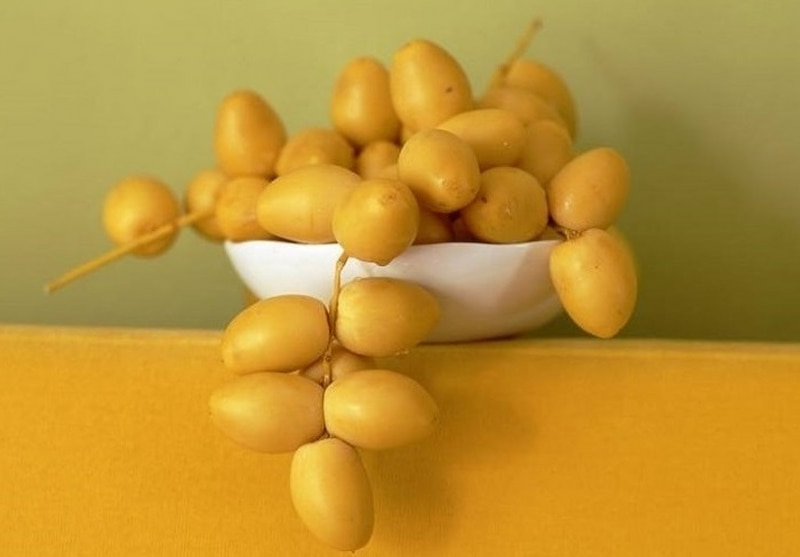 خرما زرد؛ کرمانشاه گرم خشک تقویت کننده دستگاه ایمنی بدن