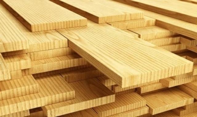 چوب روسی تبریز؛ درختان کاج نراد نوئل مختص هنر دستی منبت کاری