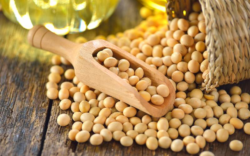 سویا کلهر کرمانشاه؛ بهداشتی پروتئین دار 2 کاربرد خوراکی کنجاله