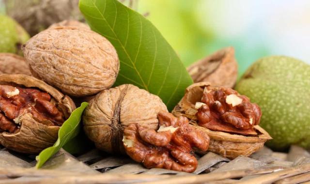 گردو هندی walnut درشت درجه یک بهبود استخوان