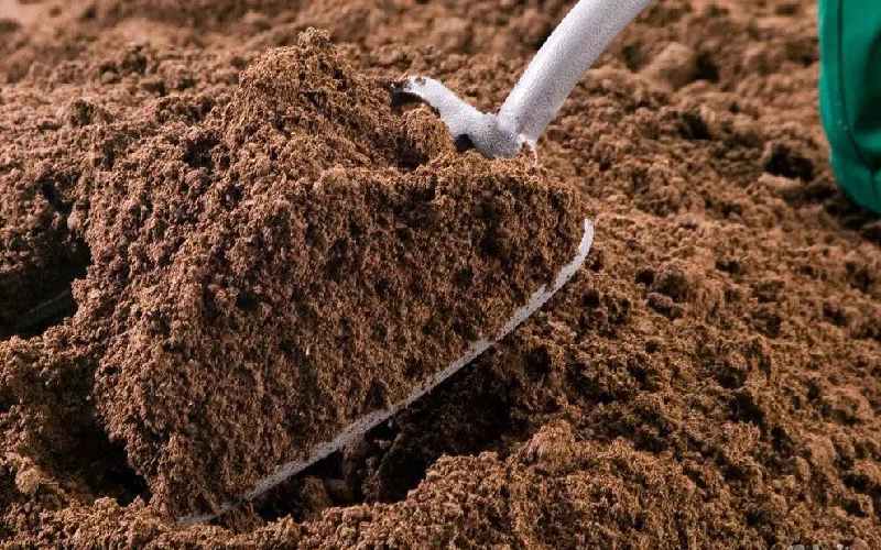 کود حیوانی گاو؛ دارای نیتروژن 2 کاربرد گیاهان درختان