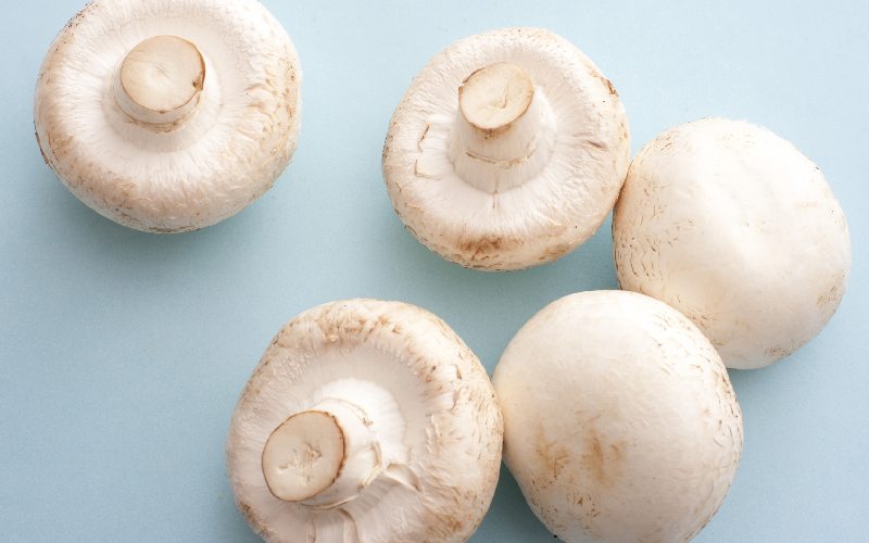 قارچ دکمه ای امروز؛ خوراکی ضد سرطان کم کالری