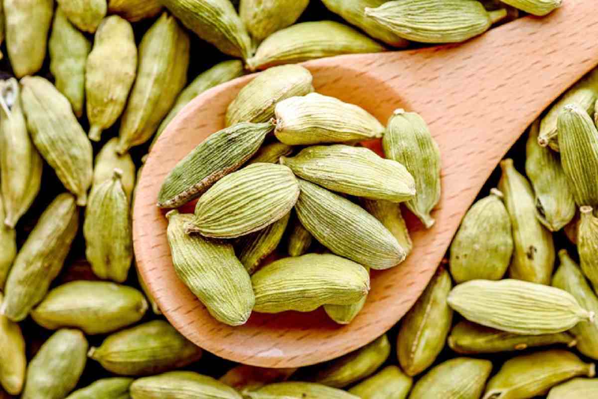 هل اکبری یک کیلویی؛ تلخ شیرین کوهستانی کاربرد (دارویی عطرسازی)