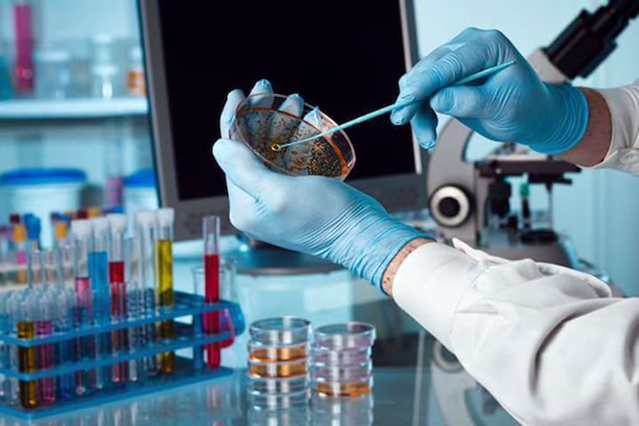 کیت آزمایشگاهی؛ اندازه گیری نمونه آزمایش بررسی دقت کیفیت آنتی ژن آنتی بادی