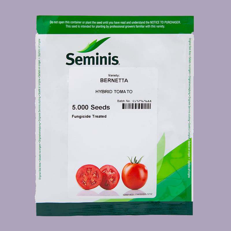 بذر گوجه برنتا tomato seeds درشت پوست ضخیم بسته بندی شده