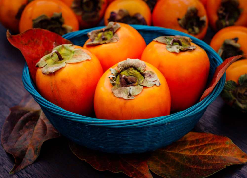 خرمالو در بازار شیراز Persimmon شیرین جایگزین ویتامین های دارویی