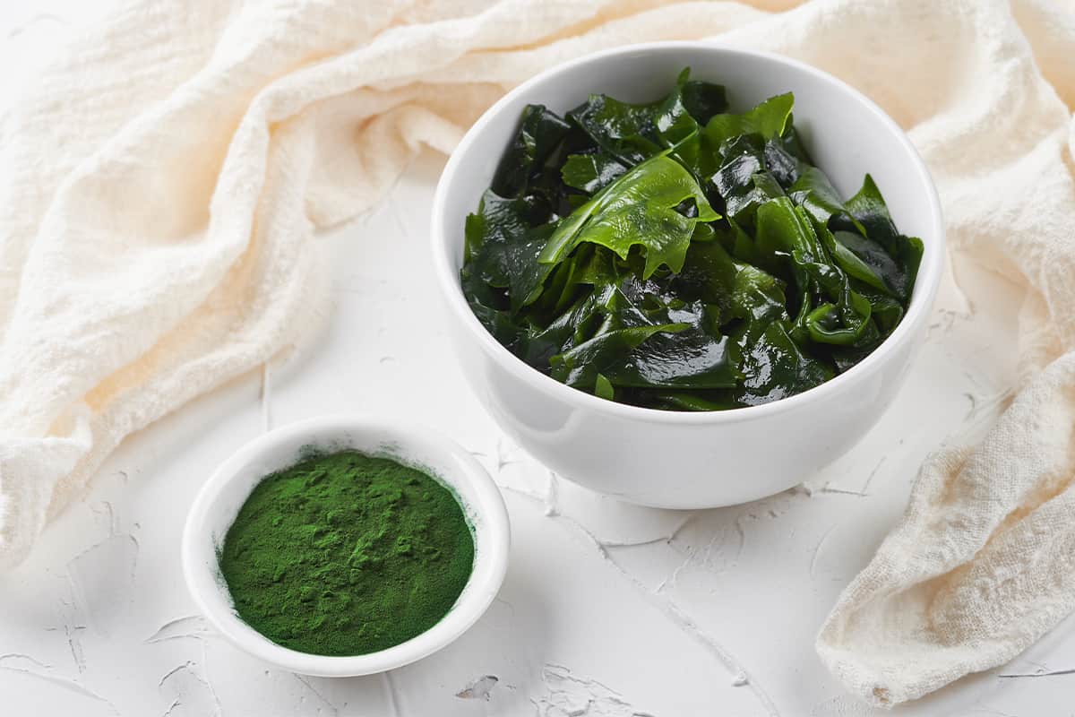 قیمت جلبک دریایی برای پوست