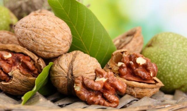 گردو در عراق؛ قهوه ای کرم روشن ارزش غذایی بالا