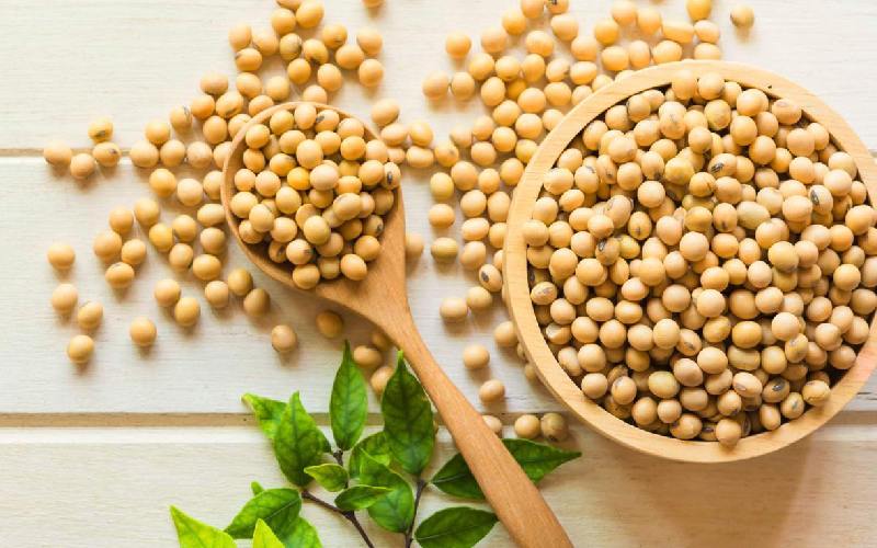 سویا کیسه ای Soy جایگزین پروتئین گوشتی حاوی فیبر امگا 3