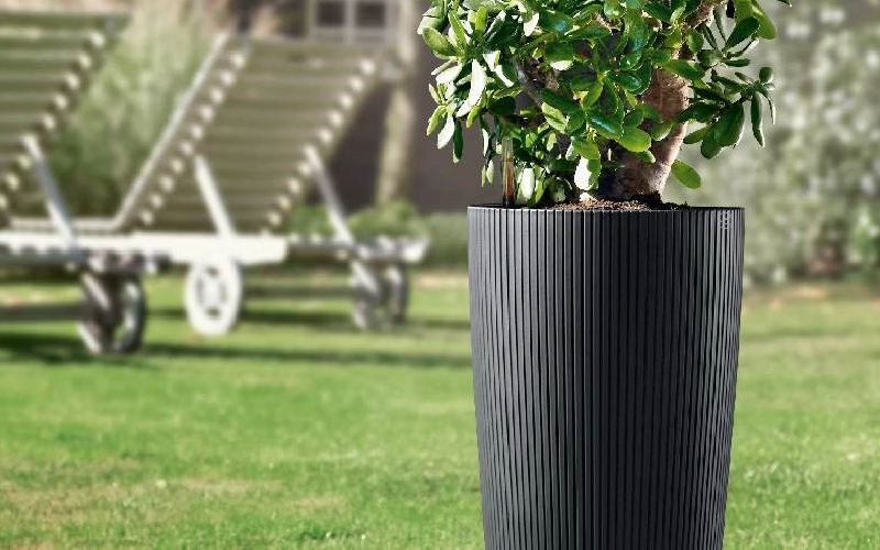 گلدان پلاستیکی خیلی بزرگ؛ مربع مستطیل گرد رنگبندی مختلف