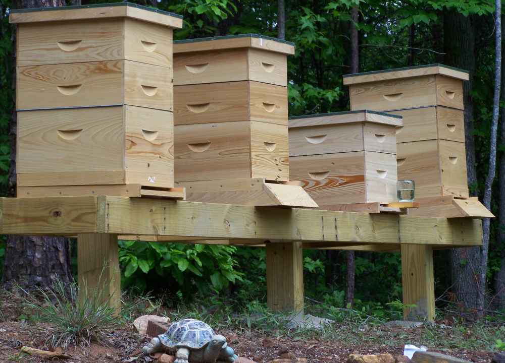 کندو عسل تهران؛ تنوع رنگ 2 نوع مدرن چوبی پلاستیکی متحرک