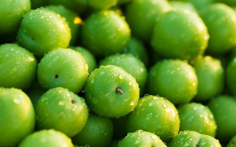 آلو سبز در تهران plum کاهش فشار خون چربی سرطان