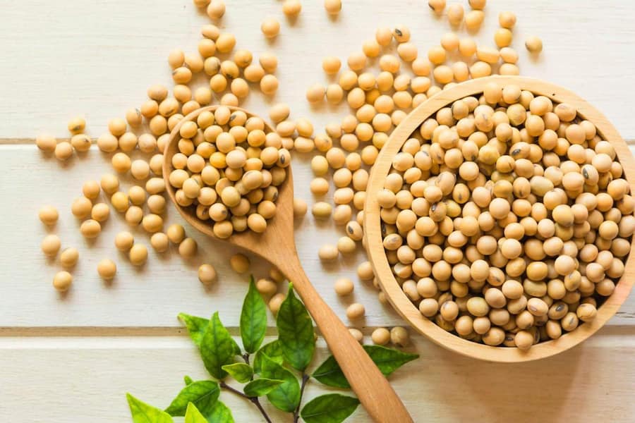 سویا طلای سفید گنبد؛ ضد التهاب کلاژن ساز منبع منگنز فسفر فولاد