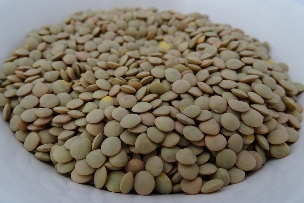 قیمت عدس هر کیلو