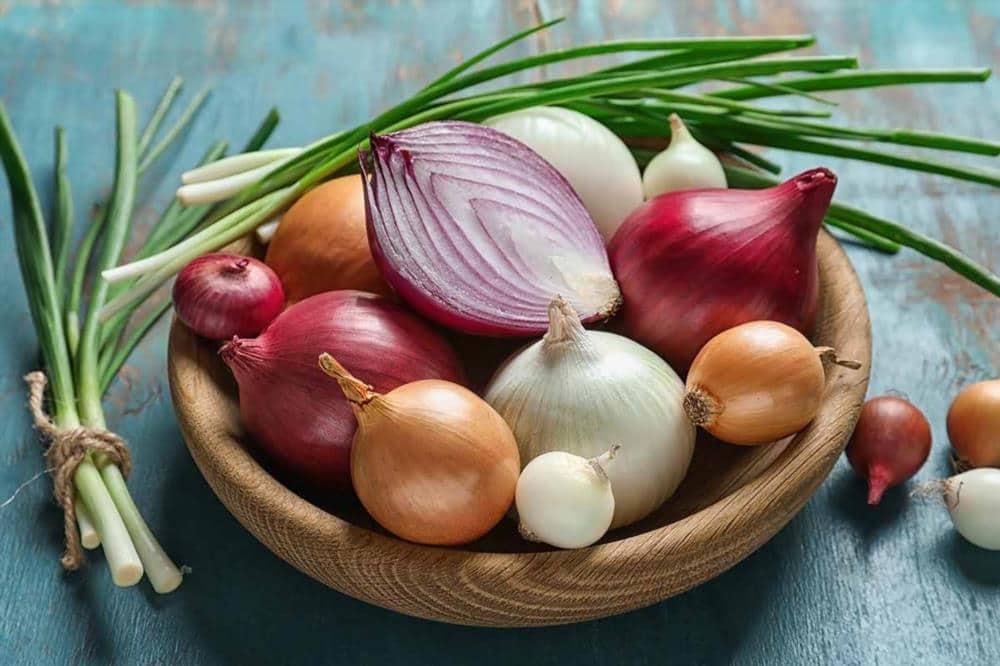 پیاز امروز شیراز an onion ضد عفونی کننده قوی 3 نوع سفید زرد بنفش