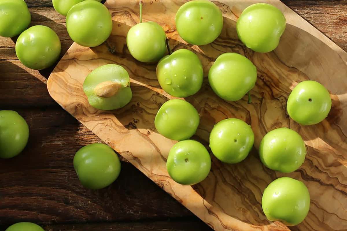 خرید و قیمت عمده الوچه + فروش کلی