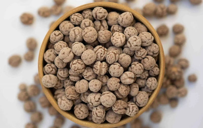 نخود شکلاتی Pea آبگوشتی لبلبی منبع ویتامین آهن کربوهیدرات پتاسیم