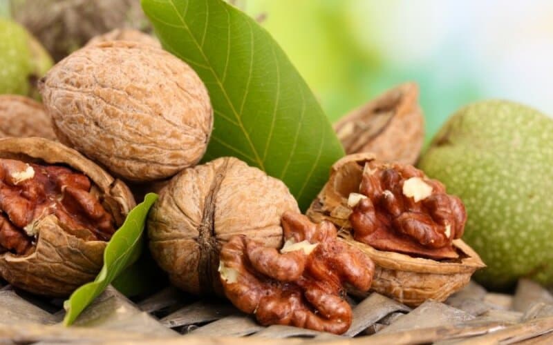 خرید و قیمت گردو پوست کاغذی + فروش کلی