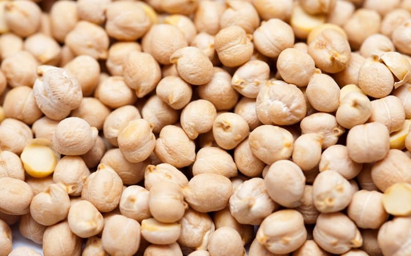 نخود پایه بلند؛ دانه درشت 2 ماده مغذی (پروتئین اسید آمینه)