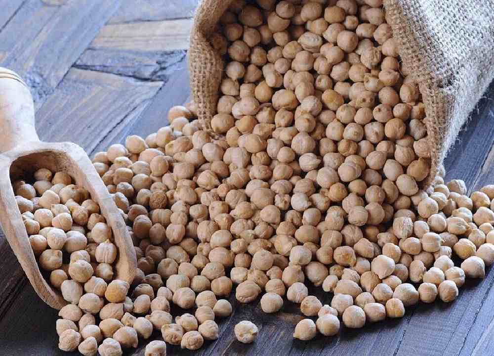 نخود امسال؛ زرد سیاه 3 استفاده (حمص فلافل آش)