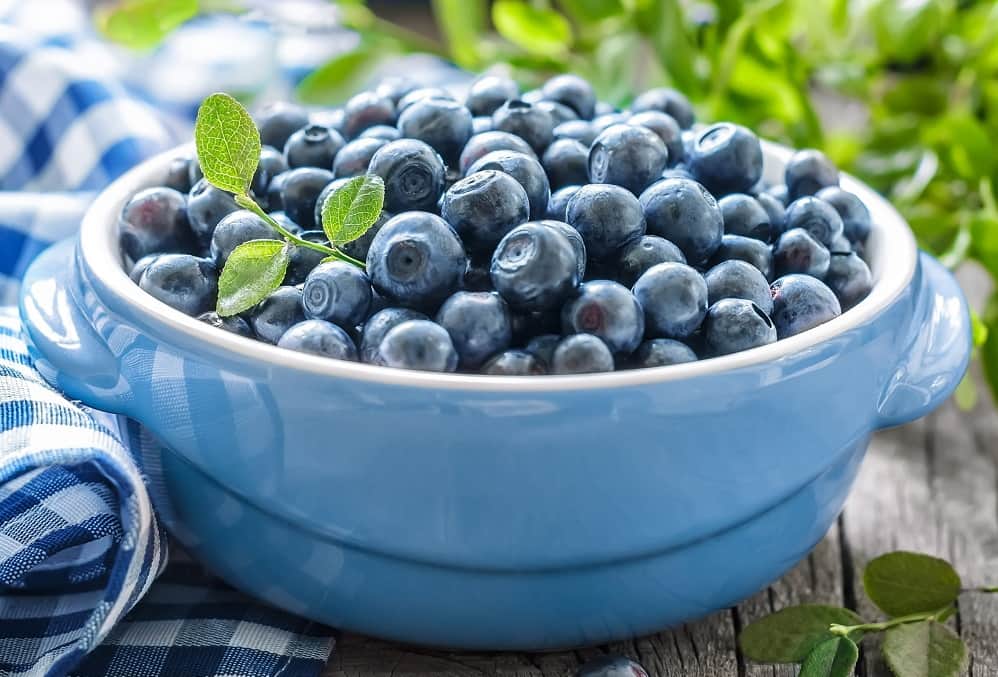 بلوبری در مشهد؛ میوه ای گوشتی آبدار کروی کاربرد (صنایع غذایی دارویی شیمیایی)