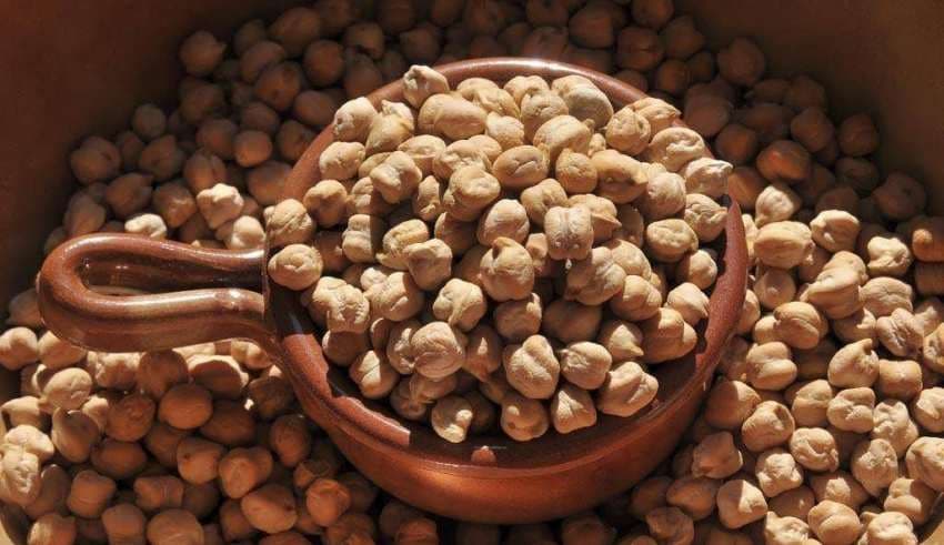 نخود دیم کرمانشاه؛ بسته بندی فله بهداشتی استاندارد پیشگیری از بیماری