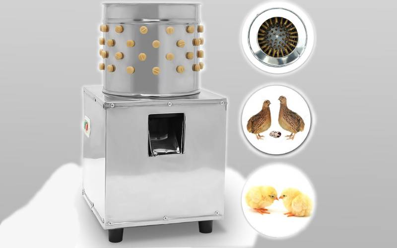 دستگاه پرکن بلدرچین خانگی؛ استیل برقی قدرت 2 الی 10 اسب بخار