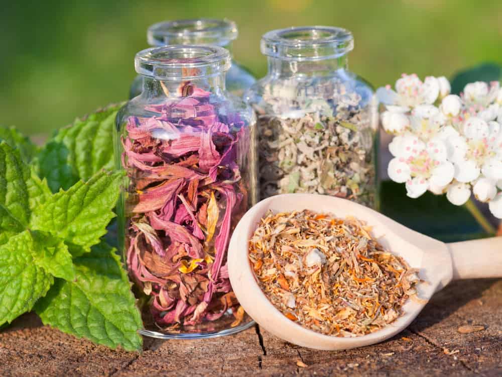 دارو گیاهی باریجه (کما) دارای خواص سم زدایی طبع گرم