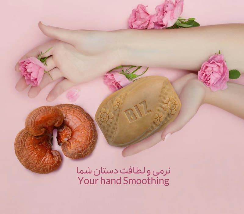 صابون قارچ گانودرما بیز BIZ گیاهی درمان جوش آکنه اگزما